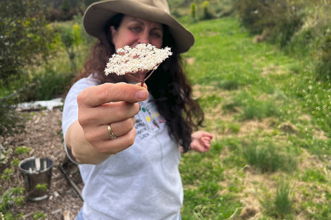 A woman holds up an Elderflower umbel against a background of a lush green garden