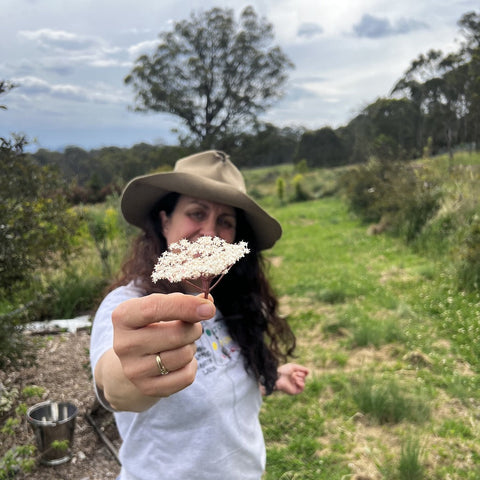 From Bloom to Bottle: Where Elderflower Mist Begins