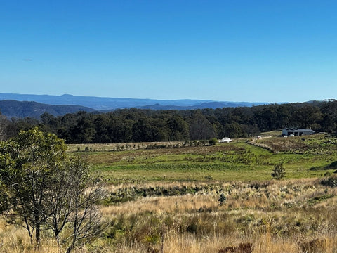 When the Land is Healthy - the Wildlife Returns
