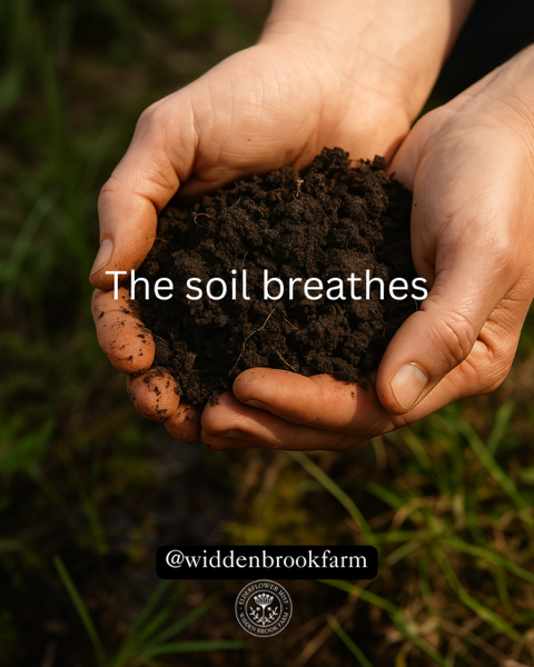 Two hands cradle a handful of rich, dark soil full of organic matter with @widdenbrookfarm as a watermark